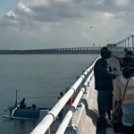 Fenomena Lebah Melintas di Tol Bali Mandara, Ini Penjelasan BKSDA Bali