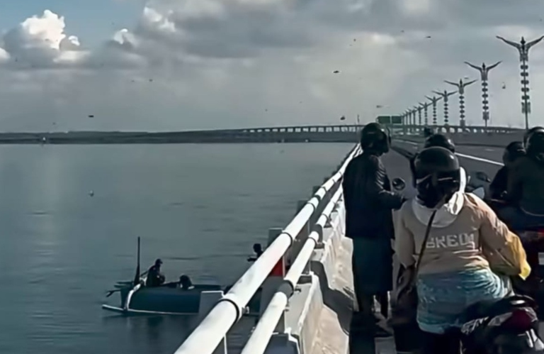 Fenomena Lebah Melintas di Tol Bali Mandara, Ini Penjelasan BKSDA Bali